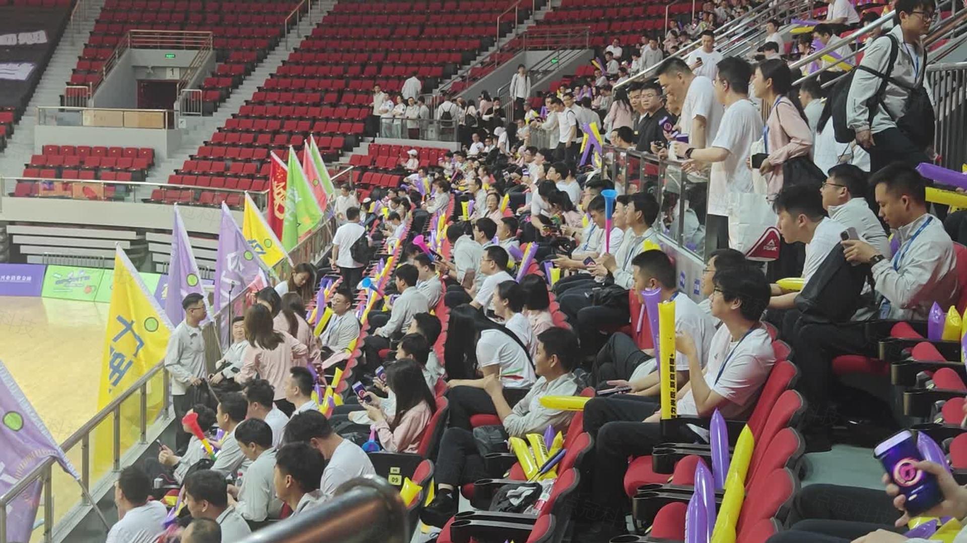 观众席参与互动与现场助威氛围